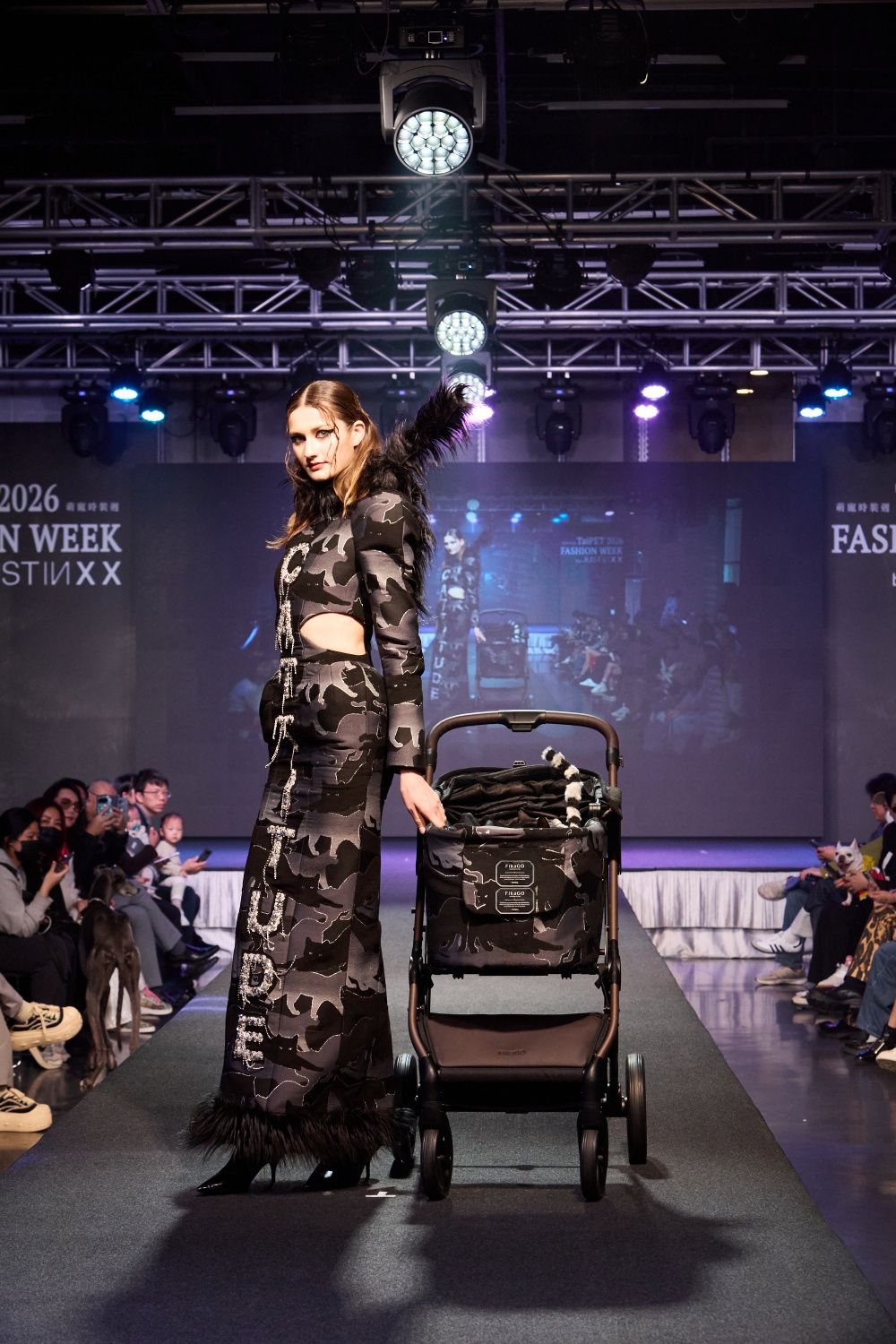 萌度炸裂！臺北萌寵時裝週登場！薔薔豹紋性感亮相、多隻浪浪變身T台小模...可愛爆棚！-6