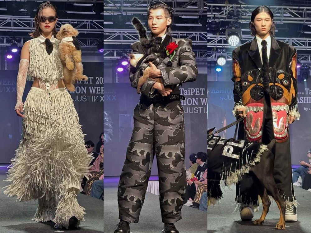 萌度炸裂！臺北萌寵時裝週登場！薔薔豹紋性感亮相、多隻浪浪變身T台小模...可愛爆棚！-10