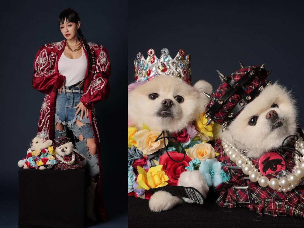 萌度炸裂！臺北萌寵時裝週登場！薔薔豹紋性感亮相、多隻浪浪變身T台小模...可愛爆棚！-12