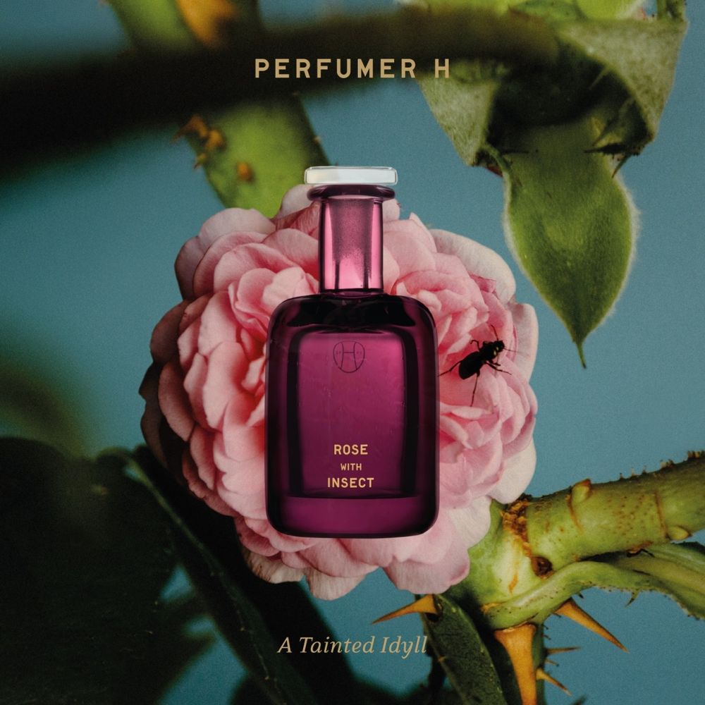 顛覆玫瑰調香氛的印象！PERFUMER H「玫瑰與昆蟲」嬌柔花香融入辛香木質調，充滿自信迷人魅力、噴它準沒錯！-6