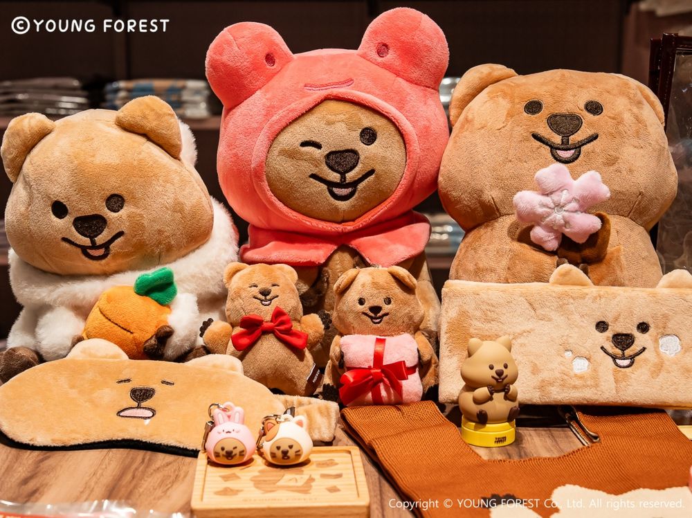 韓妞最愛矮袋鼠「勾卡KKOTKA」快閃店來了！超萌「愛心勾卡充氣裝置、小青蛙變裝玩偶」必拍必買一次看！-6