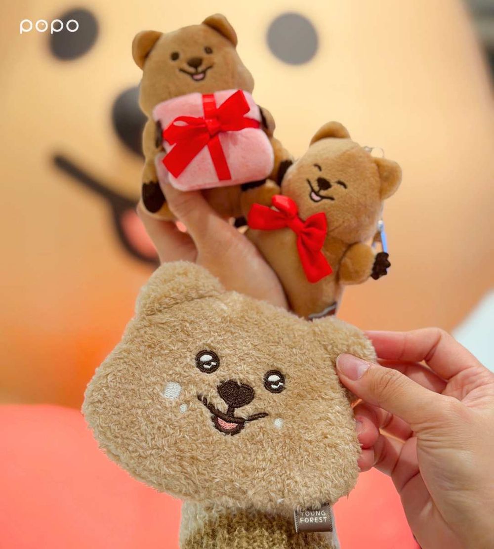 韓妞最愛矮袋鼠「勾卡KKOTKA」快閃店來了！超萌「愛心勾卡充氣裝置、小青蛙變裝玩偶」必拍必買一次看！-9