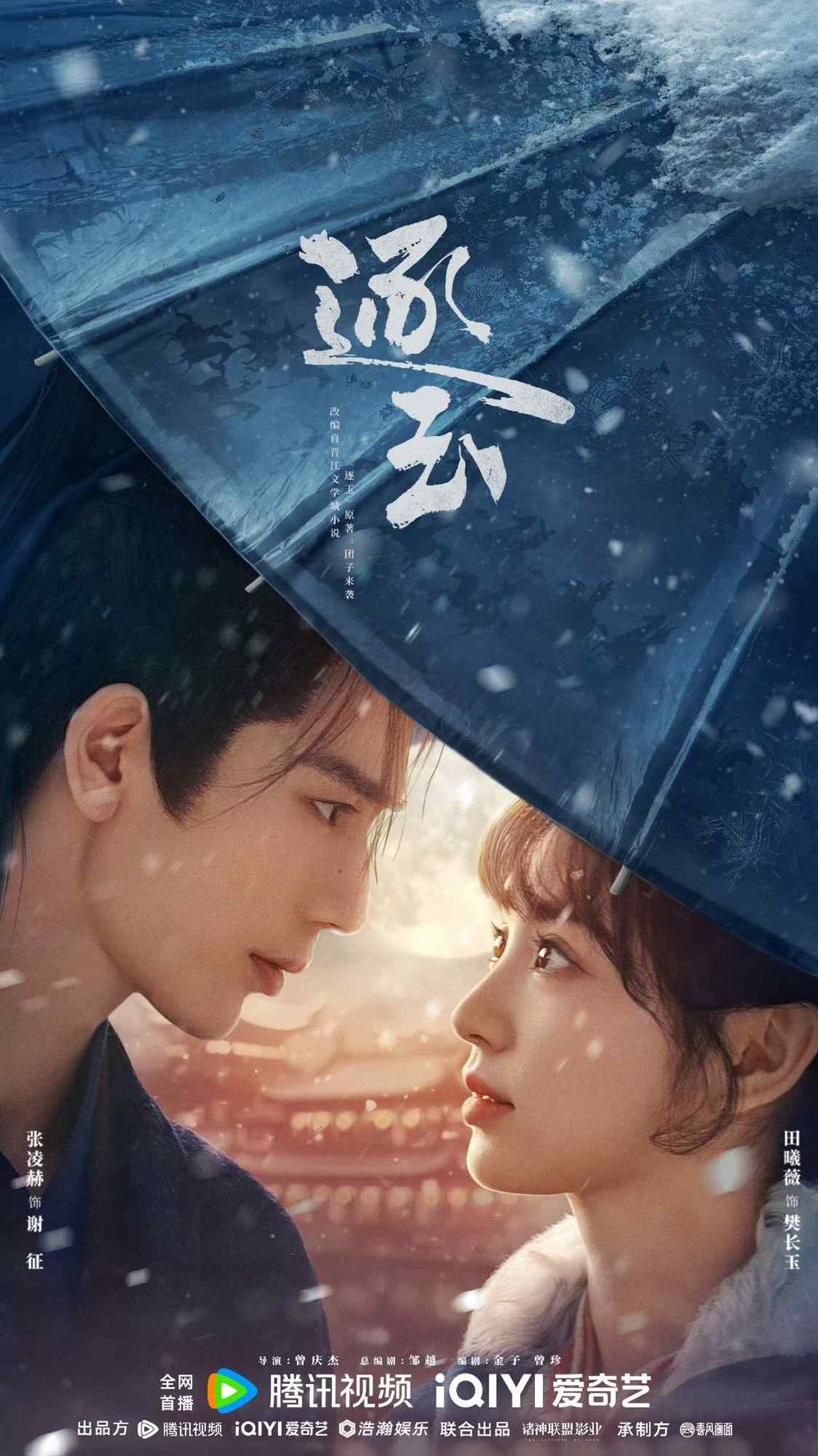 Netflix陸劇2026《逐玉》劇情看點+角色介紹線上看！田曦薇、張凌赫「先婚後愛」極限拉扯！-10