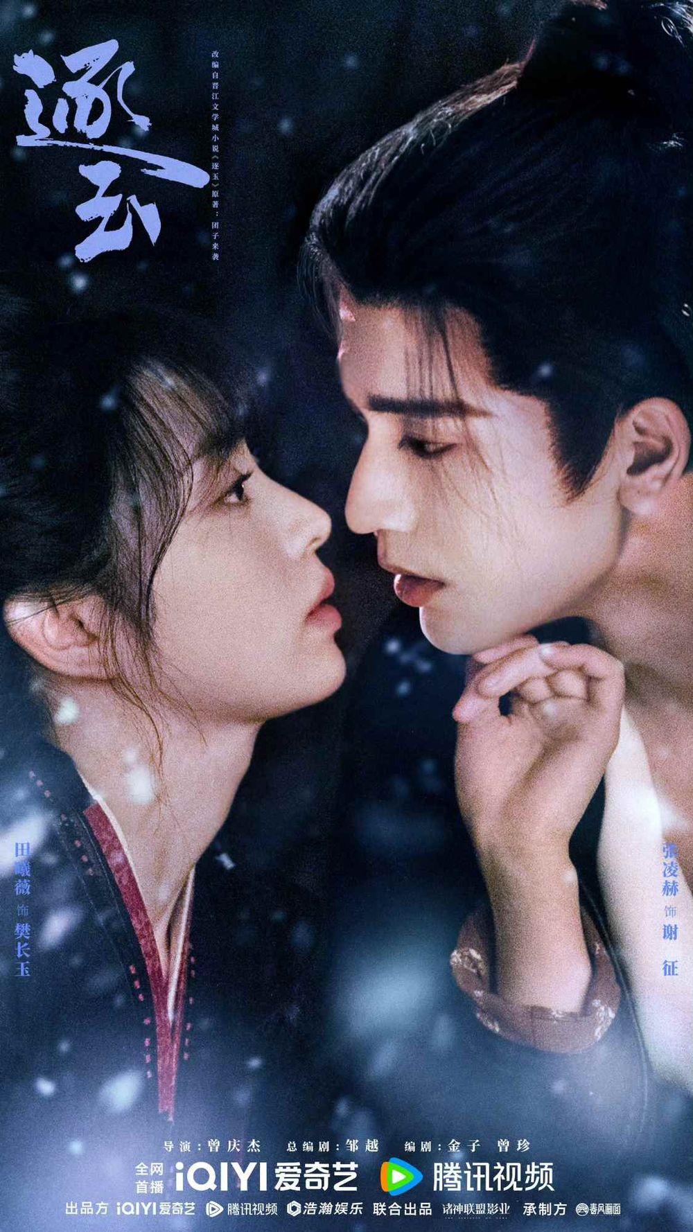 Netflix陸劇2026《逐玉》劇情看點+角色介紹線上看！田曦薇、張凌赫「先婚後愛」極限拉扯！-11