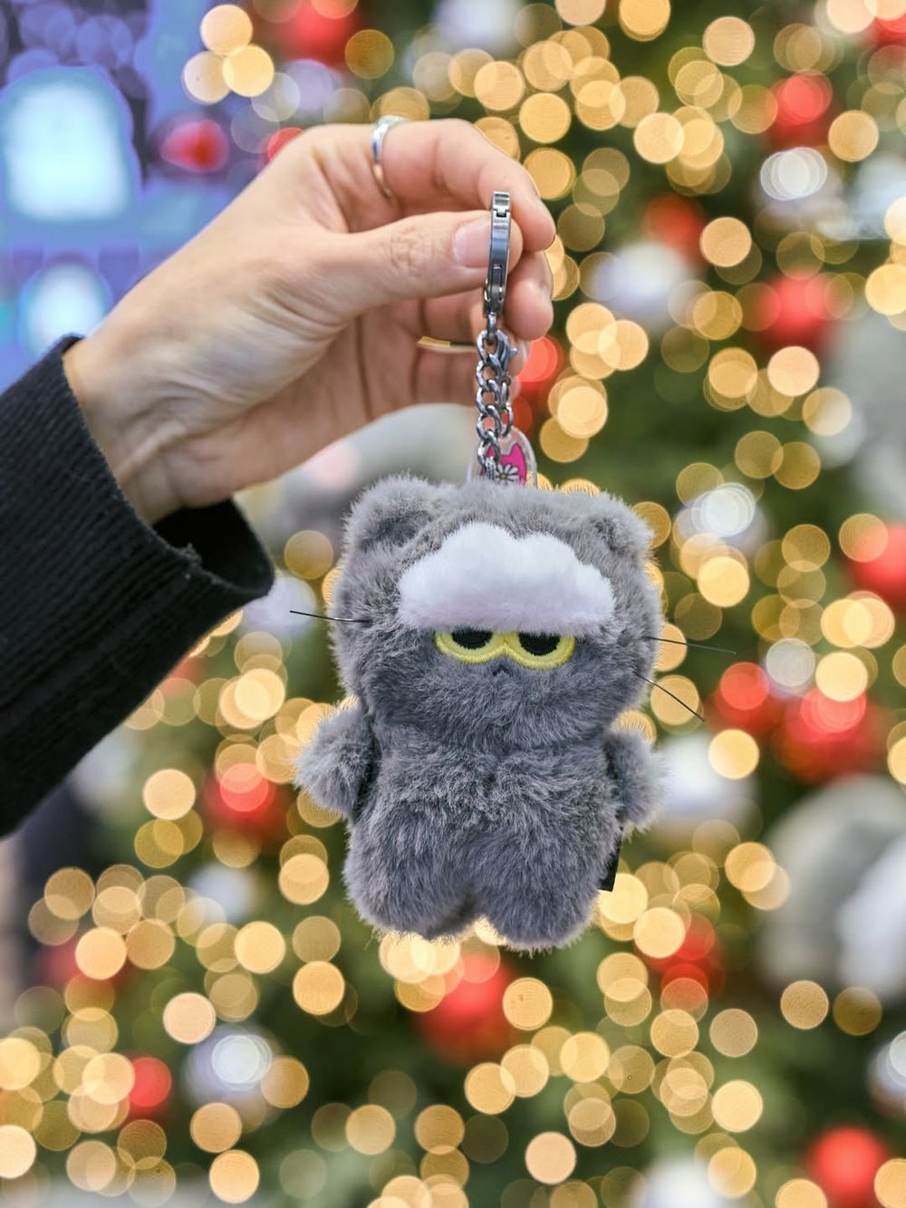 GD愛貓ZO&FRIENDS要出盲盒了？牛仔洋裝、小雛菊領巾8種造型萌炸天，網笑：根本ZOA變裝秀！-11