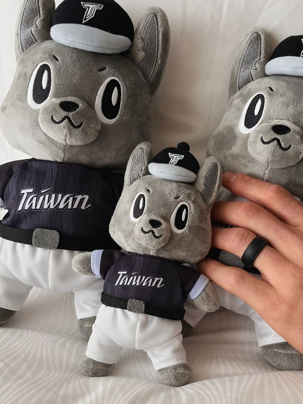 史上最萌WBC中華隊應援小物！費仔老婆狂曬「台灣黑狗」歐告玩偶、絨毛鑰匙圈萌炸天，一開賣就搶光？-9