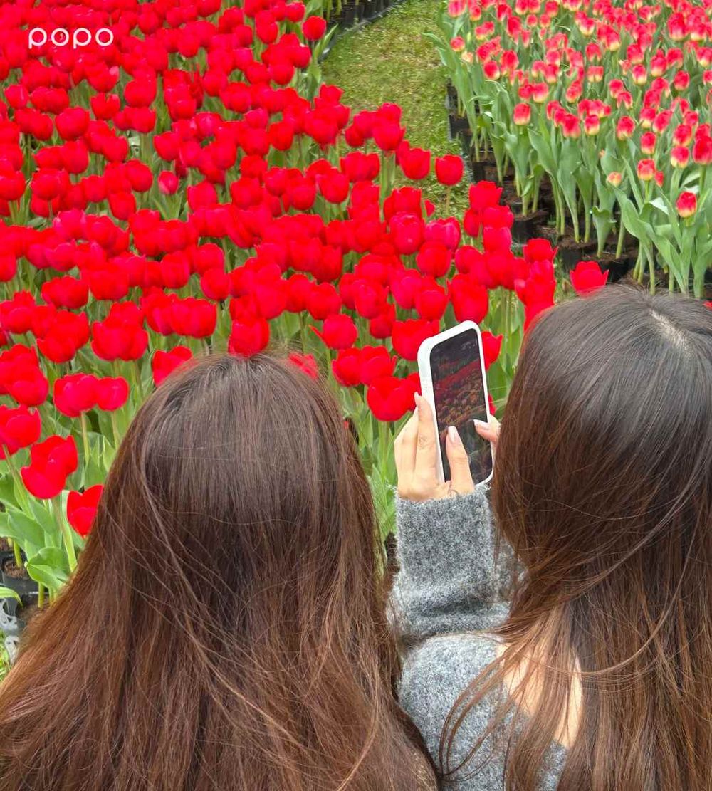 2026春季雙北必去活動懶人包！士林官邸鬱金香展美翻、2026台北蚤之市太好逛！-5