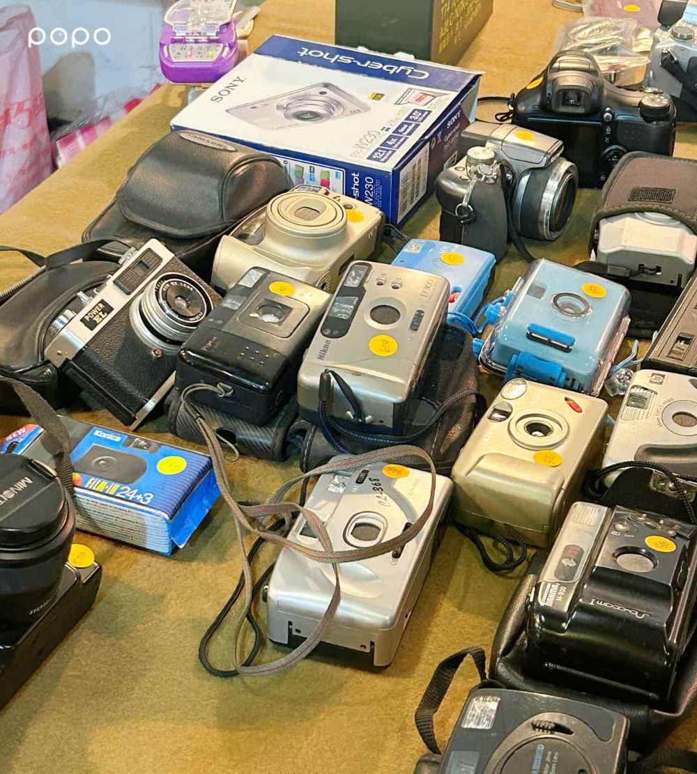 2026春季雙北必去活動懶人包！士林官邸鬱金香展美翻、2026台北蚤之市太好逛！-10