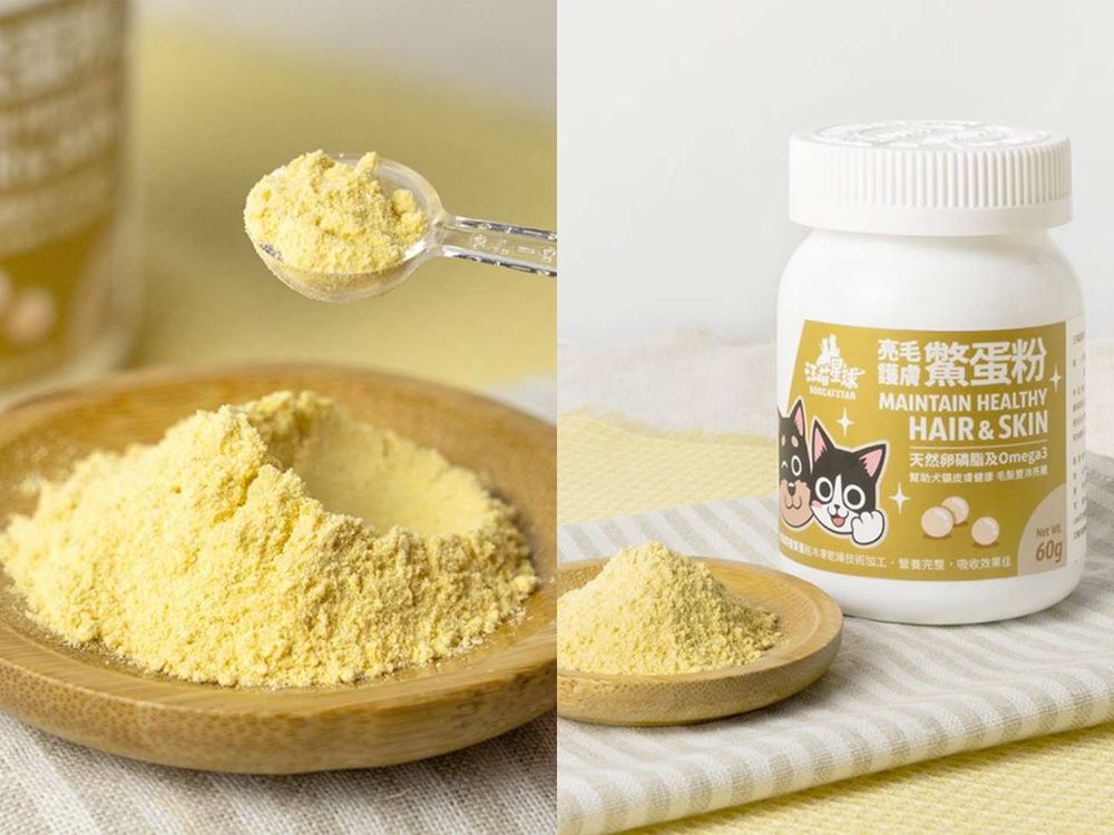 韓星「好髮質」毛孩盤點！Jennie博美Kuma、Rosé愛犬Hank、宋慧喬比熊Ruby，寵物亮毛＆肌膚保健品推薦！-5