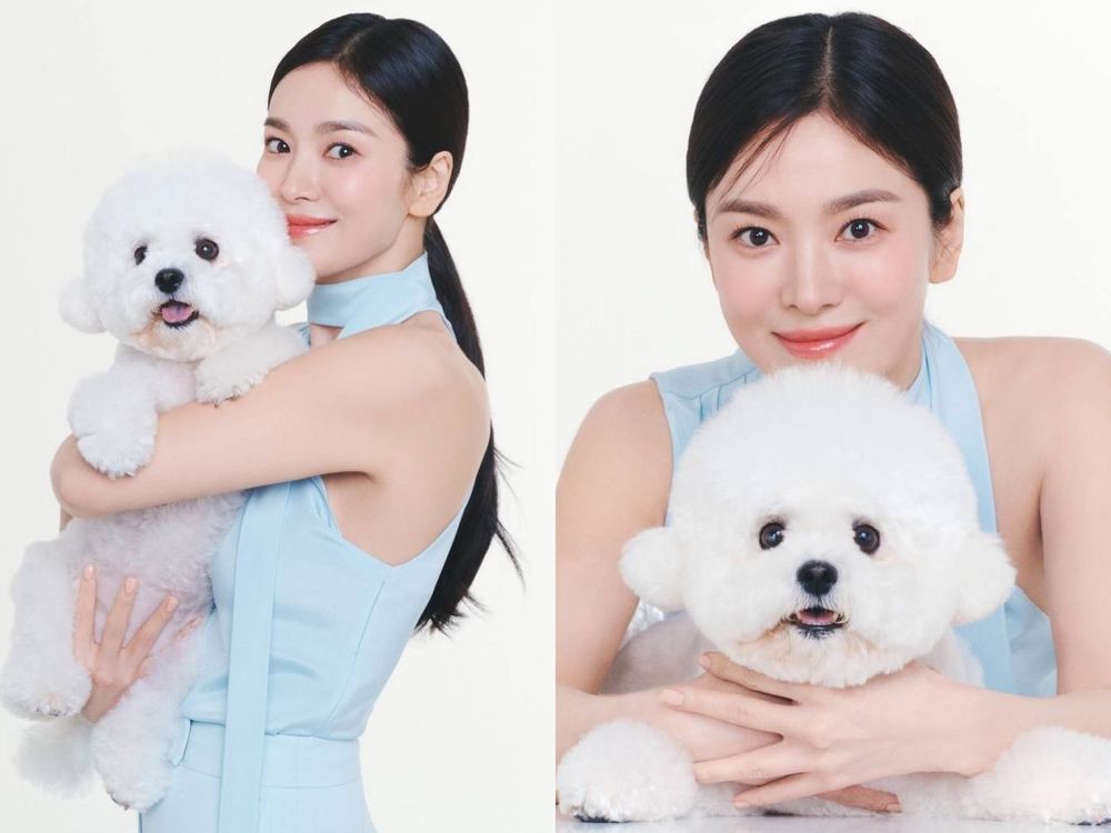 韓星「好髮質」毛孩盤點！Jennie博美Kuma、Rosé愛犬Hank、宋慧喬比熊Ruby，寵物亮毛＆肌膚保健品推薦！-8