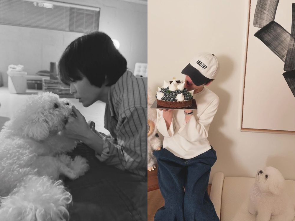 韓星「好髮質」毛孩盤點！Jennie博美Kuma、Rosé愛犬Hank、宋慧喬比熊Ruby，寵物亮毛＆肌膚保健品推薦！-7