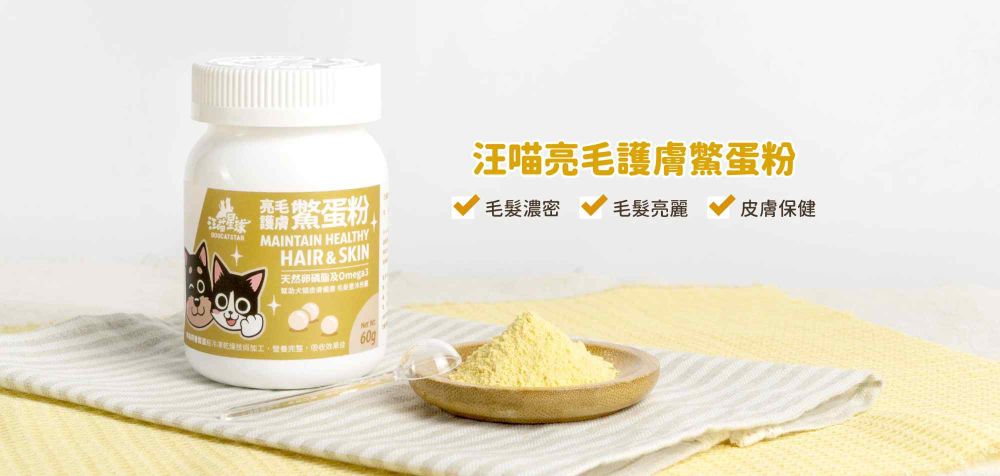 韓星「好髮質」毛孩盤點！Jennie博美Kuma、Rosé愛犬Hank、宋慧喬比熊Ruby，寵物亮毛＆肌膚保健品推薦！-17