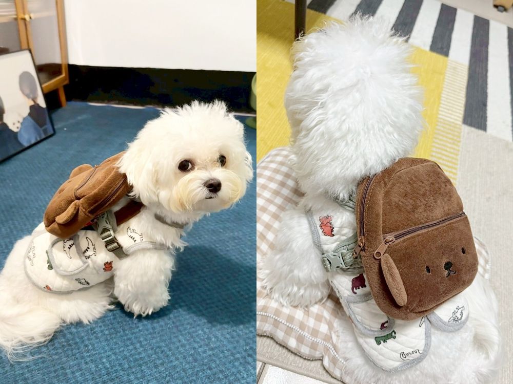 午後の紅茶又跟米飛兔聯名啦！超可愛「磁吸米飛兔馬克杯、波里斯熊背包掛袋」只有這免費送！-3