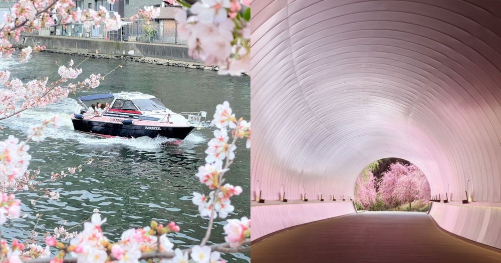 2026日本7大賞櫻景點推薦！東京目黑川搭船賞櫻花太浪漫、「這座」漸層粉櫻花隧道夢幻炸！-1