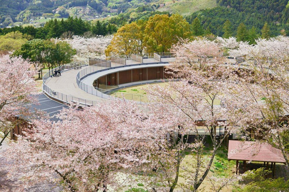 2026日本7大賞櫻景點推薦！東京目黑川搭船賞櫻花太浪漫、「這座」漸層粉櫻花隧道夢幻炸！-7