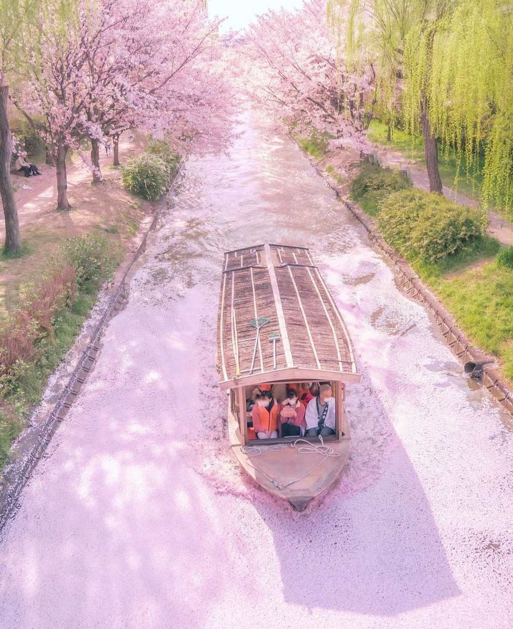 2026日本7大賞櫻景點推薦！東京目黑川搭船賞櫻花太浪漫、「這座」漸層粉櫻花隧道夢幻炸！-14