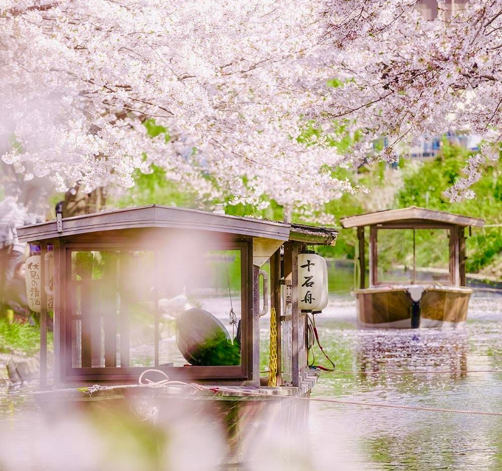 2026日本7大賞櫻景點推薦！東京目黑川搭船賞櫻花太浪漫、「這座」漸層粉櫻花隧道夢幻炸！-15