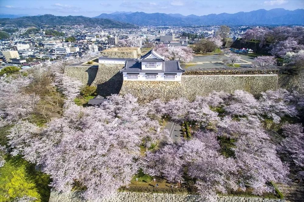 2026日本7大賞櫻景點推薦！東京目黑川搭船賞櫻花太浪漫、「這座」漸層粉櫻花隧道夢幻炸！-17