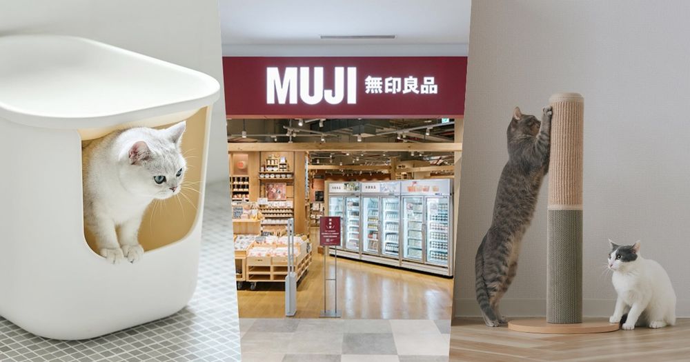 史上最時髦寵物用品！無印良品最新「純白貓砂盆&黃麻貓抓柱」美到像居家擺飾、毛孩爸媽必買！-1