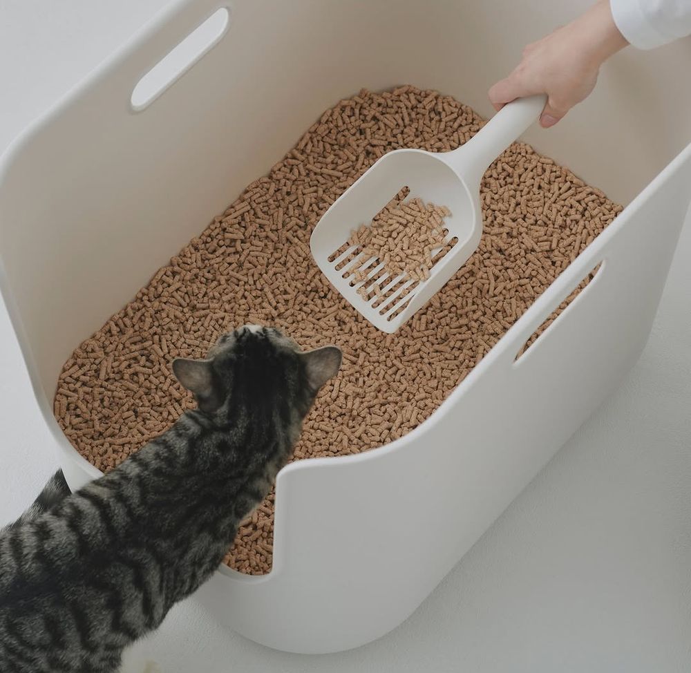 史上最時髦寵物用品！無印良品最新「純白貓砂盆&黃麻貓抓柱」美到像居家擺飾、毛孩爸媽必買！-4