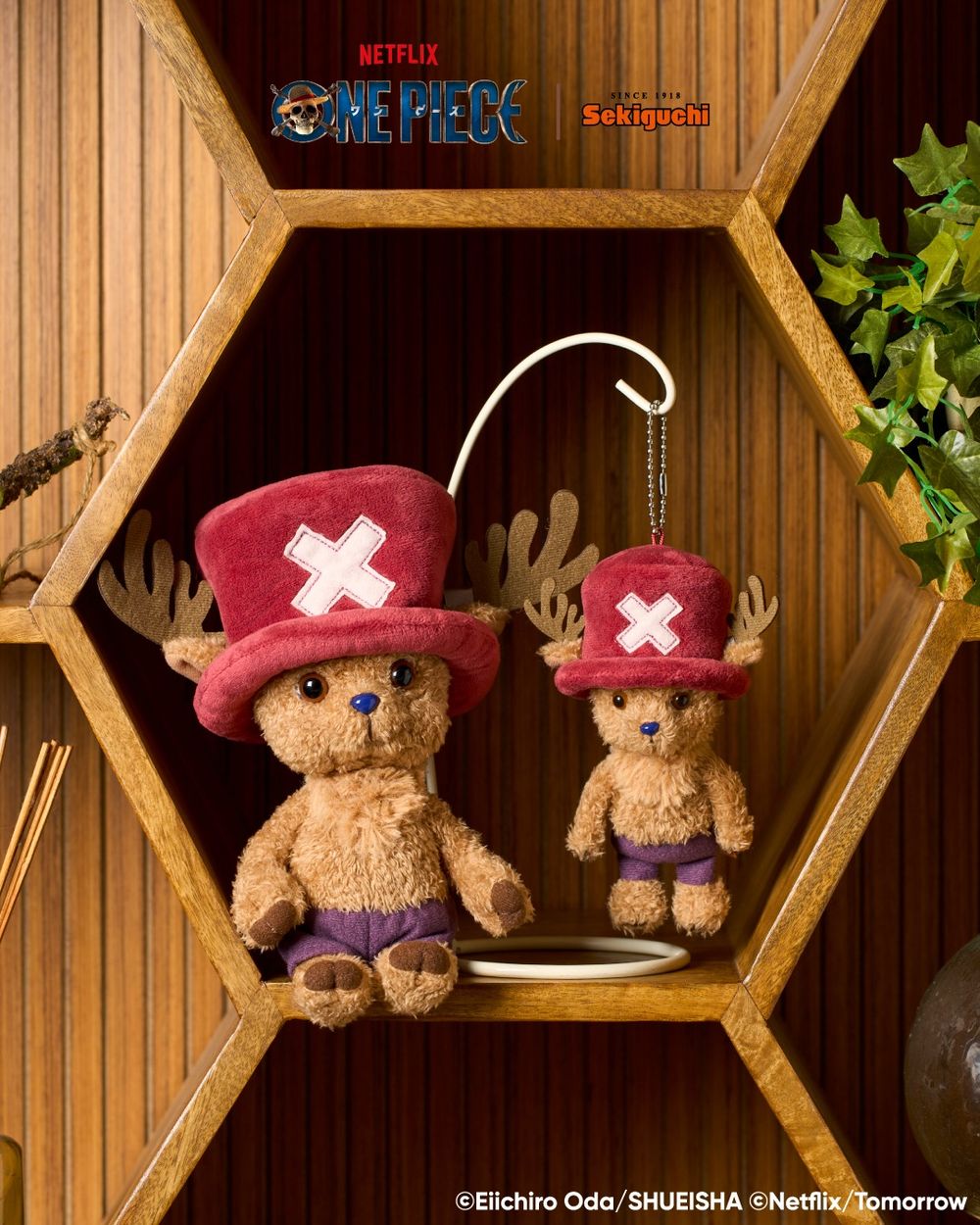 LISA最愛的蒙奇奇和《航海王》聯名了！超可愛「草帽魯夫蒙奇奇、真人版喬巴吊飾」日妞都狂搶！-6
