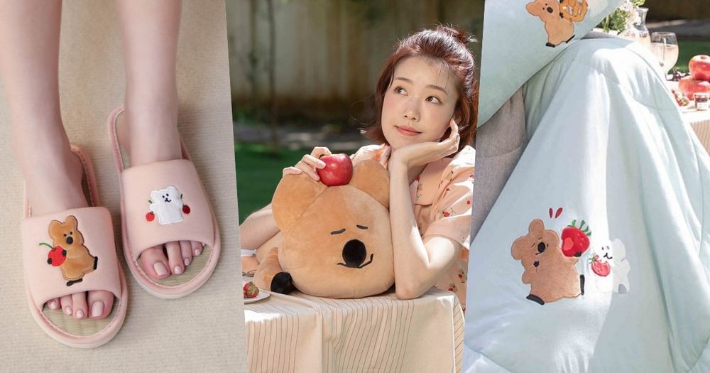 DINOTAENG矮袋鼠聯名家居小物太可愛！「QUOKKA趴姿抱枕、BOBO四季被」台灣就買得到！-1