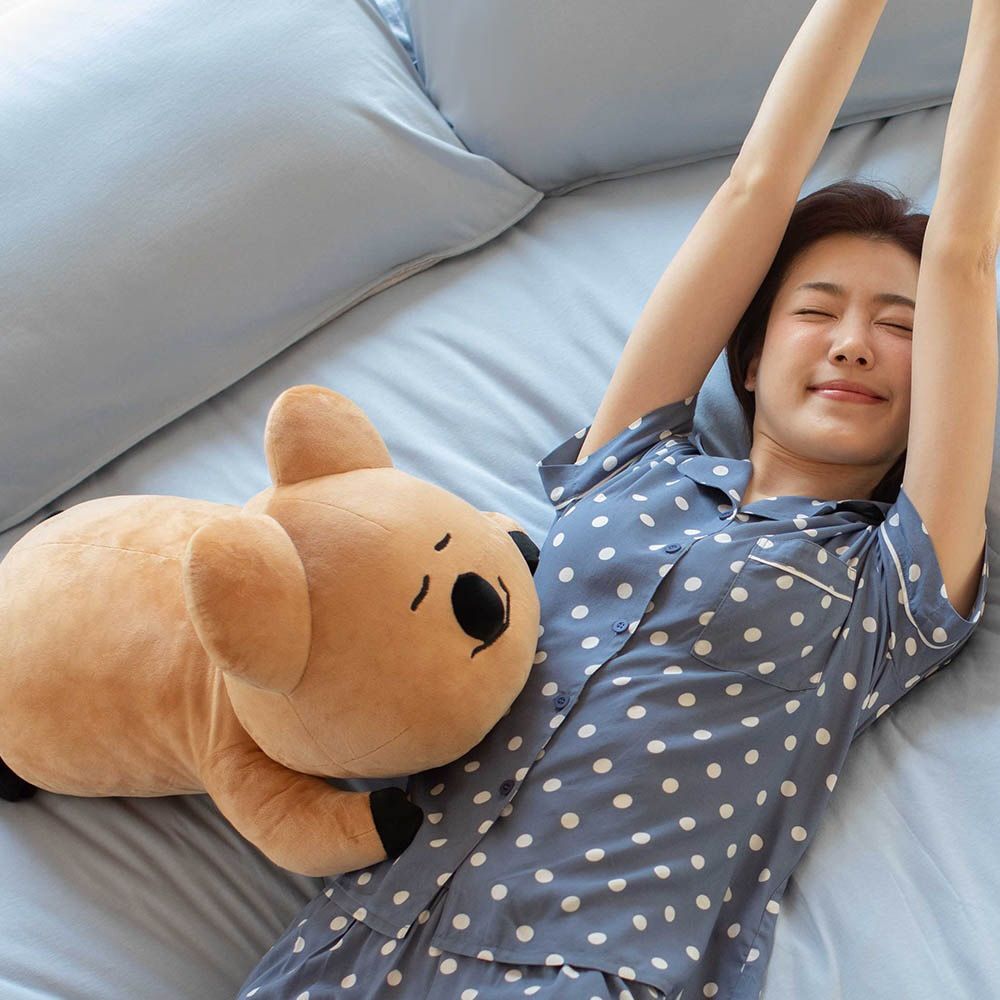DINOTAENG矮袋鼠聯名家居小物太可愛！「QUOKKA趴姿抱枕、BOBO四季被」台灣就買得到！-7