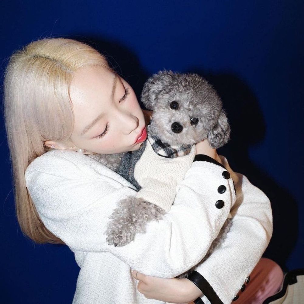 韓網熱議和寵物長得像的KPOP偶像！太妍&Zero根本神同步，Giselle愛犬畫報氣場強，乾鎬撞臉Cookie！-3