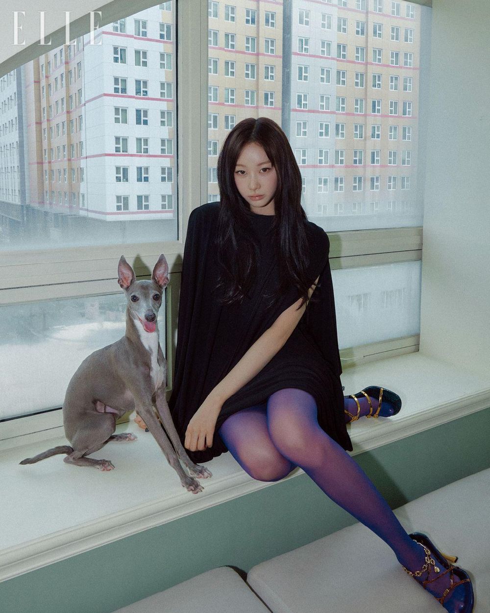 韓網熱議和寵物長得像的KPOP偶像！太妍&Zero根本神同步，Giselle愛犬畫報氣場強，乾鎬撞臉Cookie！-6