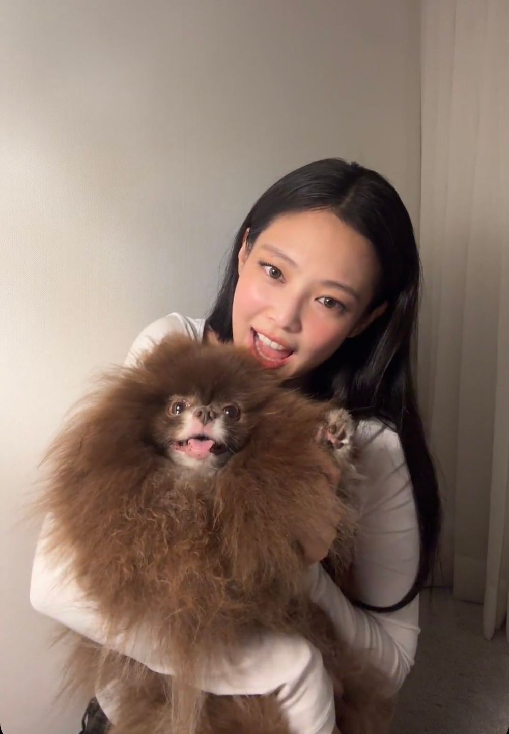 韓網熱議和寵物長得像的KPOP偶像！太妍&Zero根本神同步，Giselle愛犬畫報氣場強，乾鎬撞臉Cookie！-9