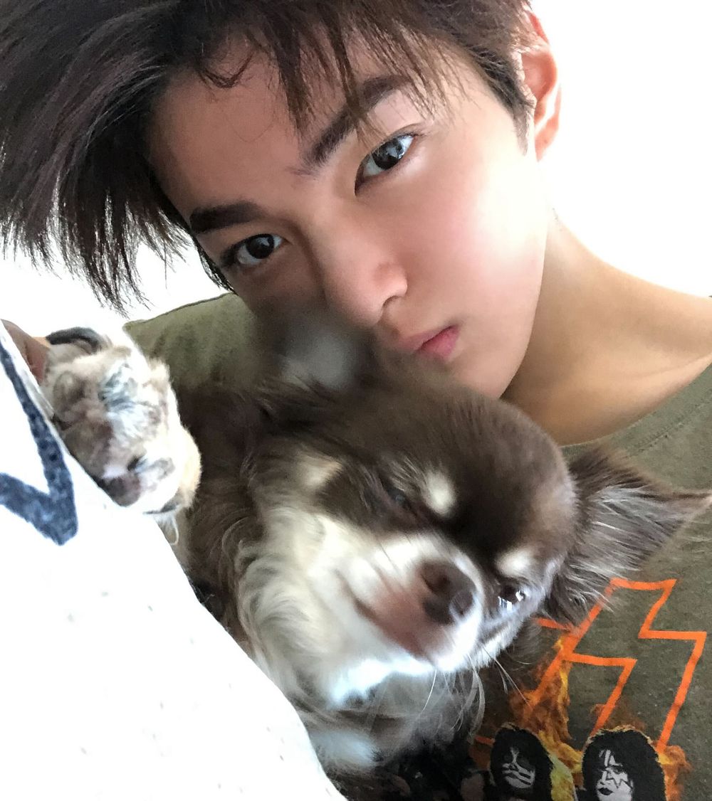 韓網熱議和寵物長得像的KPOP偶像！太妍&Zero根本神同步，Giselle愛犬畫報氣場強，乾鎬撞臉Cookie！-10