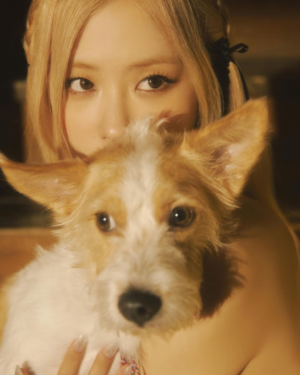 韓網熱議和寵物長得像的KPOP偶像！太妍&Zero根本神同步，Giselle愛犬畫報氣場強，乾鎬撞臉Cookie！-13