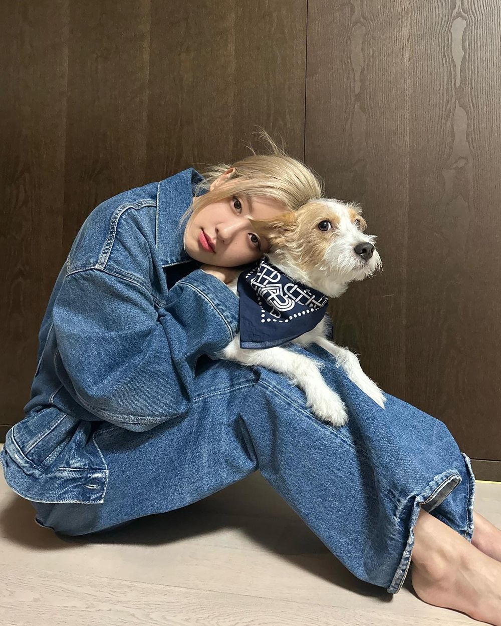 韓網熱議和寵物長得像的KPOP偶像！太妍&Zero根本神同步，Giselle愛犬畫報氣場強，乾鎬撞臉Cookie！-12