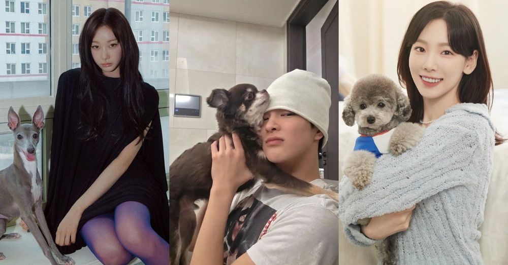 韓網熱議和寵物長得像的KPOP偶像！太妍&Zero根本神同步，Giselle愛犬畫報氣場強，乾鎬撞臉Cookie！-1