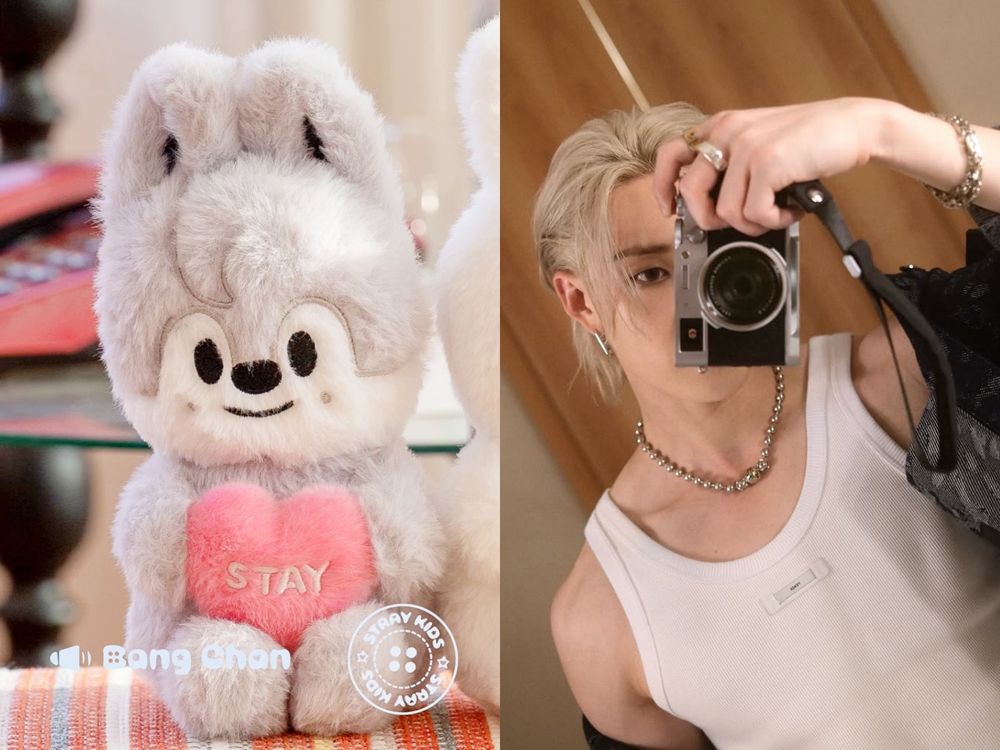 STAY錢包破洞！SKZOO最新「語音玩偶」按肚肚就能聽到成員對你說話、開賣日期&價格一次看！-4