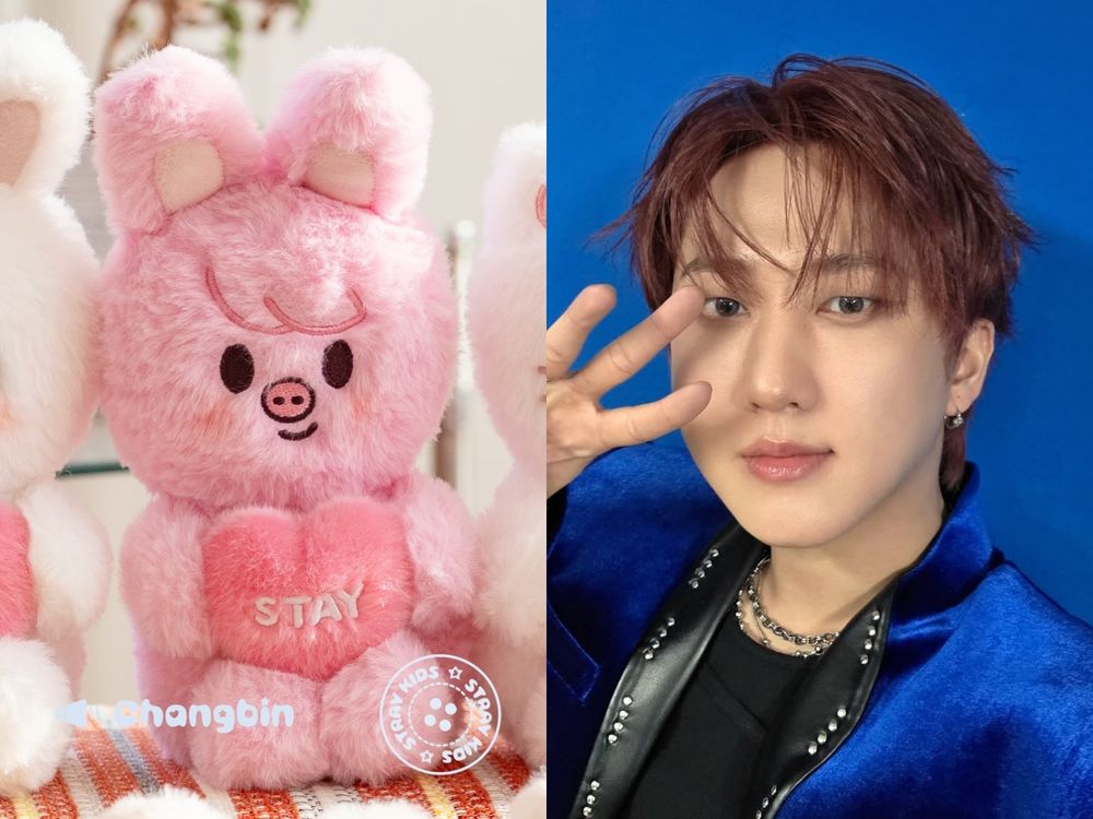 STAY錢包破洞！SKZOO最新「語音玩偶」按肚肚就能聽到成員對你說話、開賣日期&價格一次看！-6