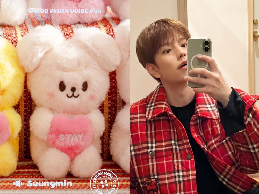 STAY錢包破洞！SKZOO最新「語音玩偶」按肚肚就能聽到成員對你說話、開賣日期&價格一次看！-9