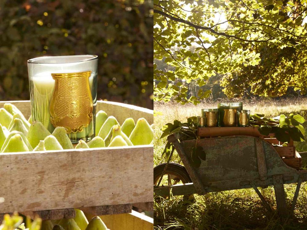 韓維辰愛用香氛品牌「TRUDON」無花果新香抵台，空氣、土壤、木質香全網瘋搜！-4