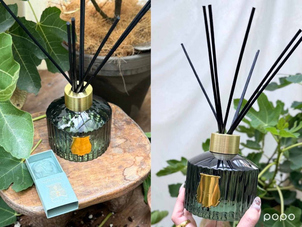 韓維辰愛用香氛品牌「TRUDON」無花果新香抵台，空氣、土壤、木質香全網瘋搜！-9