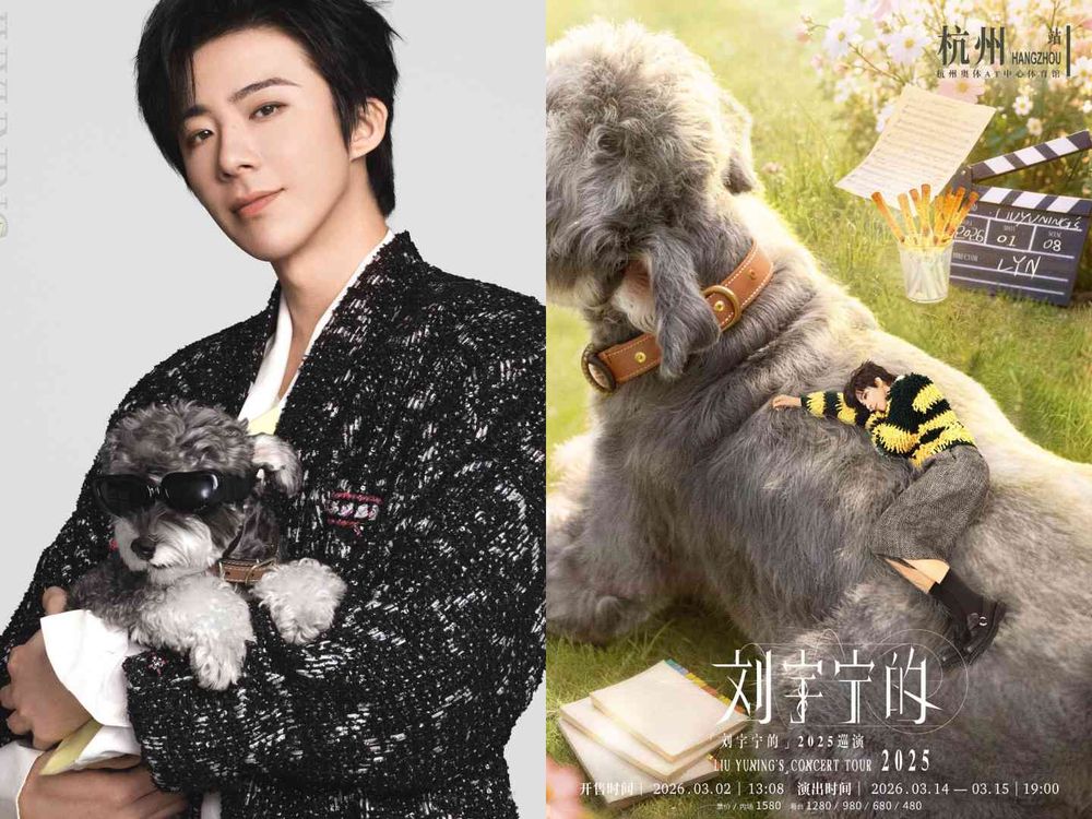 盤點陸劇頂流明星「神祕室友」！劉宇寧親寫詞曲寵溺、田曦薇抱巨貓上班、侯明昊胖柴不離身，私下根本全是卑微毛孩奴！-4