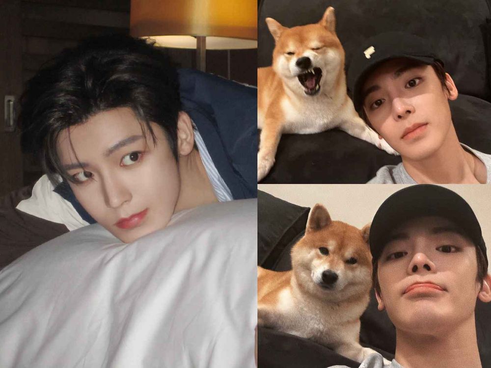 盤點陸劇頂流明星「神祕室友」！劉宇寧親寫詞曲寵溺、田曦薇抱巨貓上班、侯明昊胖柴不離身，私下根本全是卑微毛孩奴！-5