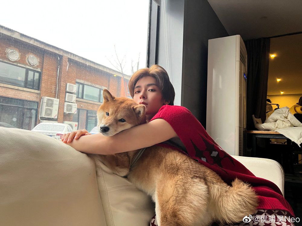 盤點陸劇頂流明星「神祕室友」！劉宇寧親寫詞曲寵溺、田曦薇抱巨貓上班、侯明昊胖柴不離身，私下根本全是卑微毛孩奴！-7