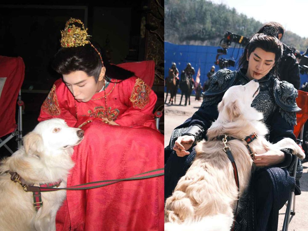 盤點陸劇頂流明星「神祕室友」！劉宇寧親寫詞曲寵溺、田曦薇抱巨貓上班、侯明昊胖柴不離身，私下根本全是卑微毛孩奴！-9