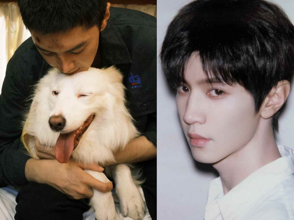 盤點陸劇頂流明星「神祕室友」！劉宇寧親寫詞曲寵溺、田曦薇抱巨貓上班、侯明昊胖柴不離身，私下根本全是卑微毛孩奴！-10