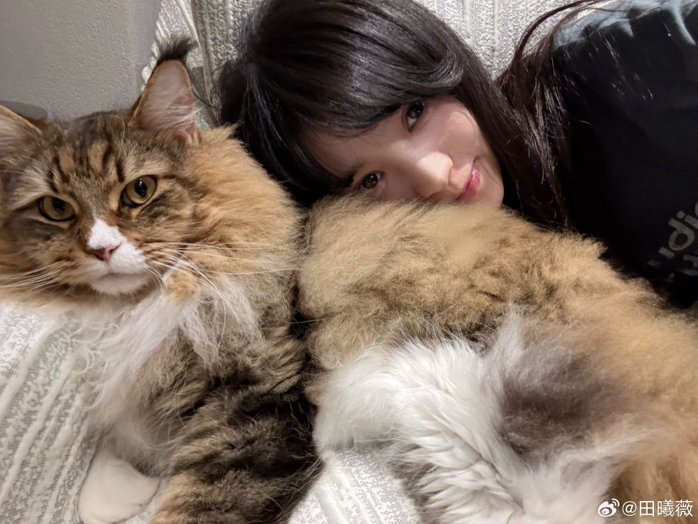 盤點陸劇頂流明星「神祕室友」！劉宇寧親寫詞曲寵溺、田曦薇抱巨貓上班、侯明昊胖柴不離身，私下根本全是卑微毛孩奴！-13