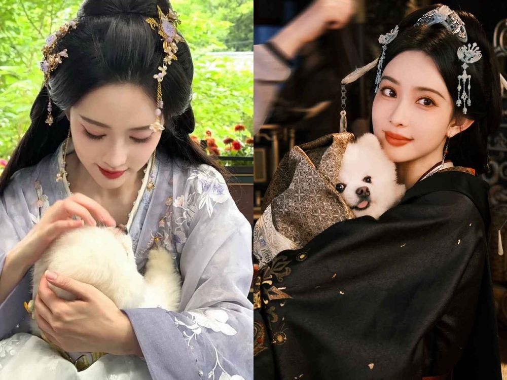 盤點陸劇頂流明星「神祕室友」！劉宇寧親寫詞曲寵溺、田曦薇抱巨貓上班、侯明昊胖柴不離身，私下根本全是卑微毛孩奴！-14