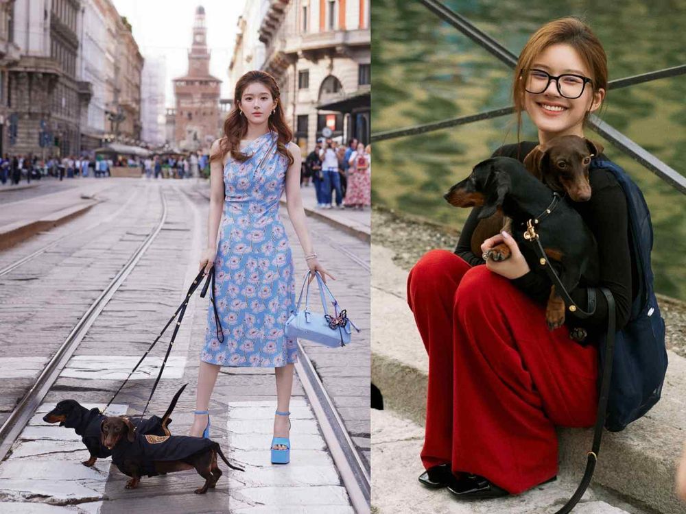 盤點陸劇頂流明星「神祕室友」！劉宇寧親寫詞曲寵溺、田曦薇抱巨貓上班、侯明昊胖柴不離身，私下根本全是卑微毛孩奴！-17