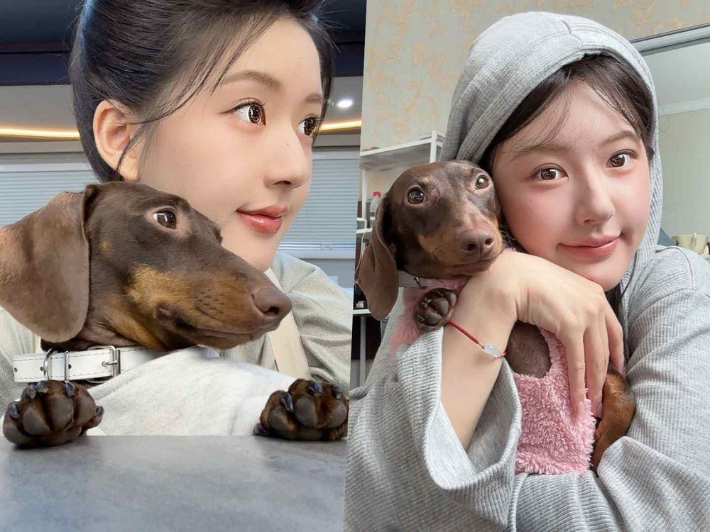 盤點陸劇頂流明星「神祕室友」！劉宇寧親寫詞曲寵溺、田曦薇抱巨貓上班、侯明昊胖柴不離身，私下根本全是卑微毛孩奴！-19