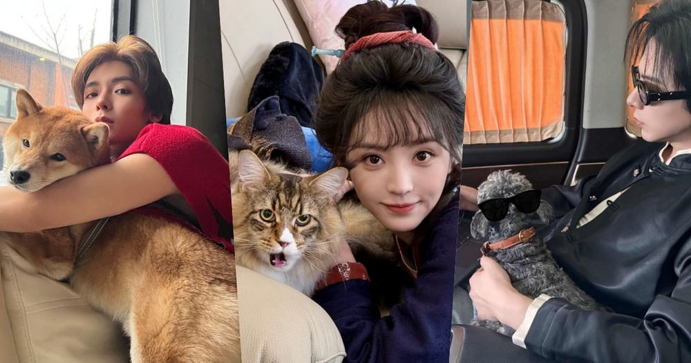 盤點陸劇頂流明星「神祕室友」！劉宇寧親寫詞曲寵溺、田曦薇抱巨貓上班、侯明昊胖柴不離身，私下根本全是卑微毛孩奴！-1