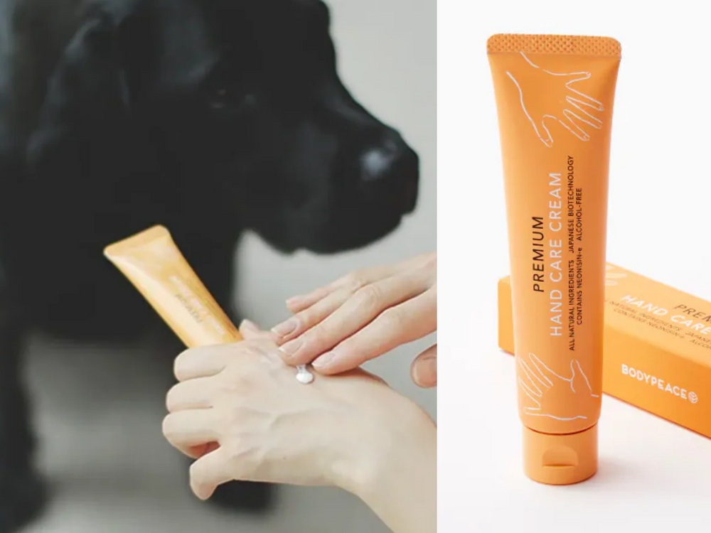 盤點陸劇頂流明星「神祕室友」！劉宇寧親寫詞曲寵溺、田曦薇抱巨貓上班、侯明昊胖柴不離身，私下根本全是卑微毛孩奴！-21